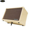 blackstar-acoustic-core-30w (4)