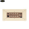 blackstar-acoustic-core-30w (5)