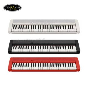 dan-organ-casiotone-ct-s1-30