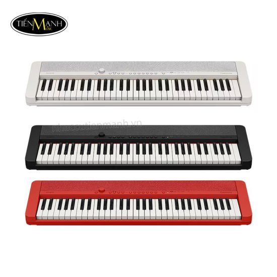 dan-organ-casiotone-ct-s1-30