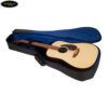 Thông Số Kĩ Thuật Của Martin D-X2E X Series Rosewood