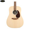 Đặc Tính Nổi Bật Của Martin D-X2E X Series Rosewood