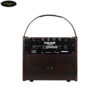 amply-guitar-acoustic-nux-ac-25 (6)