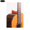 classic-martinez-mcg-58c (2)