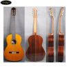 dan-guitar-classic-yamaha-gc22c (2)