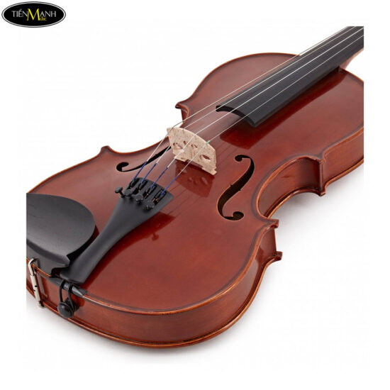 Đàn Violin Yamaha V5SC Size 4/4 3/4 1/2 1/4 1/8 1/10 1/16 - Ảnh 6