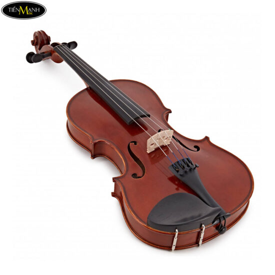 Đàn Violin Yamaha V5SC Size 4/4 3/4 1/2 1/4 1/8 1/10 1/16 - Ảnh 7