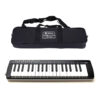 ken-melodion-swan-sw-yl-gwy-37 (1)