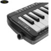 ken-melodion-swan-sw-yl-gwy-37-phim (2)