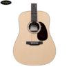Đàn Guitar Acoustic Martin D-X1E Sitka Spruce X Series