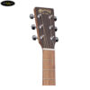 martin-dcx2e-x-series (1)