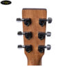 martin-dcx2e-x-series-macassar (4)
