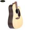 martin-dcx2e-x-series-macassar (6)
