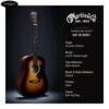 Đặc điểm nổi bật của đàn Guitar Acoustic Martin DJr-10E Burst