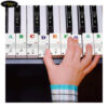 sticker-mau-cho-dan-piano-88-phim (2)