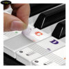 sticker-mau-cho-dan-piano-88-phim (4)