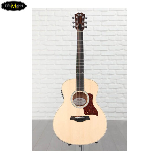 Taylor GSmini-e QS ltd