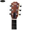 taylor-gsmini-r-rosewood (8)