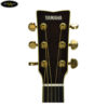 yamaha-ll6m-are (3)