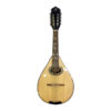 dan-mandolin-viet-nam-md70 (1)