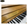 dan-piano-co-ottostein-sn121k (5)