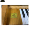 dan-piano-co-ottostein-sn121k (6)