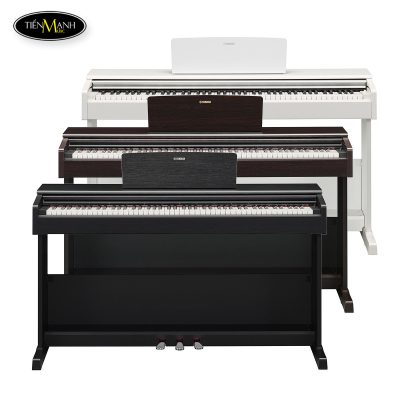 dan-piano-dien-yamaha-ydp-105-4