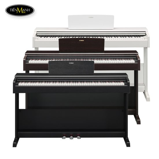 dan-piano-dien-yamaha-ydp-105-4