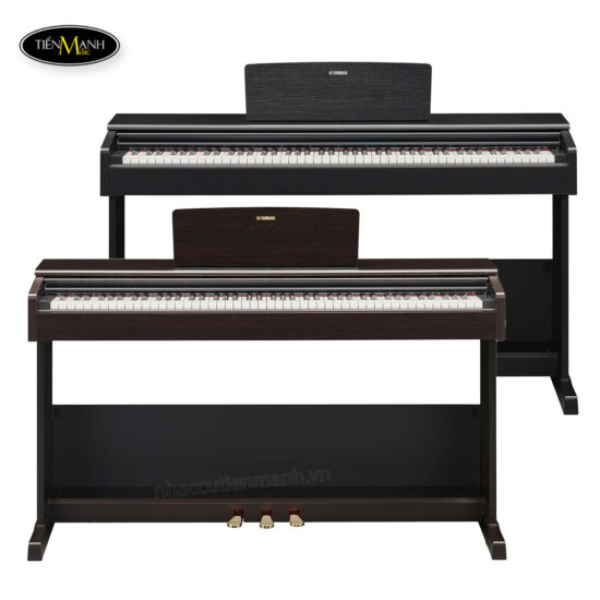 dan-piano-dien-yamaha-ydp-105