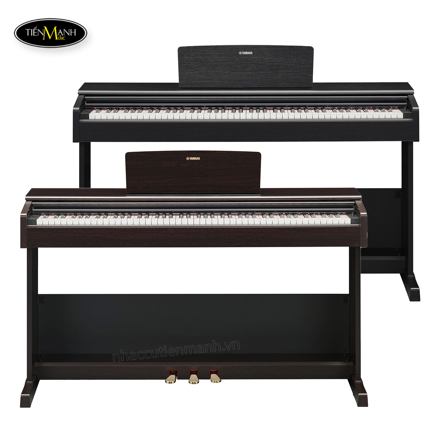 dan-piano-dien-yamaha-ydp-105