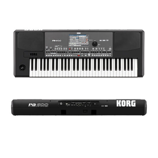 dan-organ-korg-pa-600 (1)