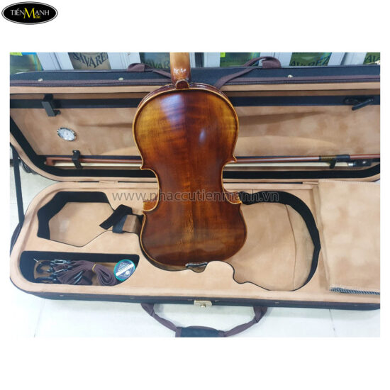 Đàn Violin Amati-1969 VF750 Size 4/4, Gỗ Thịt - Ảnh 3