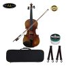Đàn Violin Amati-1969 VF750 Size 4/4, Gỗ Thịt