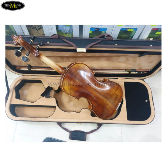 Đàn Violin Amati-1969 VF750 Size 4/4, Gỗ Thịt - Ảnh 2