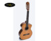 dan-guitar-classic-ba-don-c550j (1)