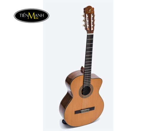 dan-guitar-classic-ba-don-c550j (1)