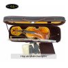 Đàn Violin Scott Cao STV1000 Cannon 1743