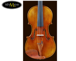 Đàn Violin Scott Cao STV1000