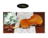 dan-violin-scott-cao-stv1000 (4)