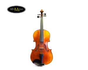 Đàn Violin Scott Cao STV750E Size 4/4