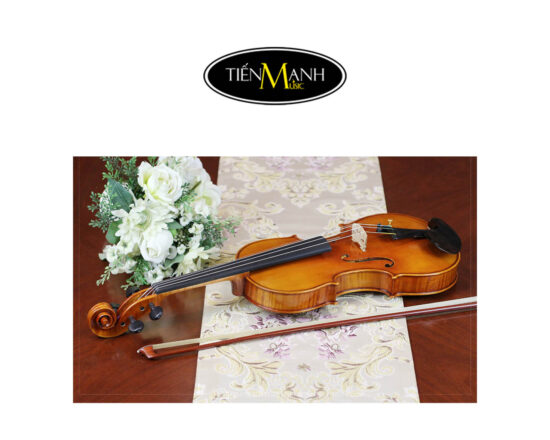 Đàn Violin Scott Cao STV750E Size 4/4 - Nhạc Cụ Tiến Mạnh