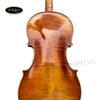 dan-violin-scott-cao-stv750e-size-4-4-42