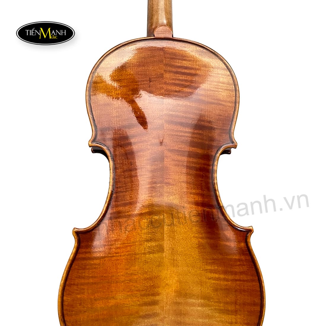 Đàn Violin Scott Cao STV750E Size 4/4 - Nhạc Cụ Tiến Mạnh