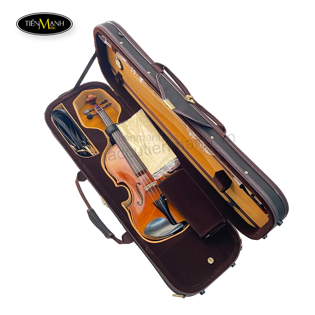 dan-violin-scott-cao-stv750e-