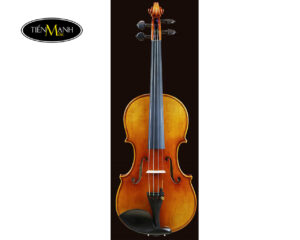 Đàn Violin Scott Cao STV850 Cannon 1743