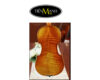 dan-violin-scott-cao-stv850-david-1740-1212 (3)