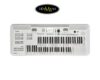 dan-electone-yamaha-ela-1 (4)