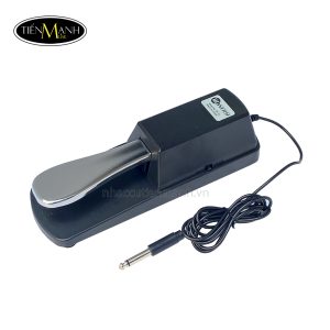 Pedal-Sustain-Wersi-DP10-Pedal-ngan-23.jpg