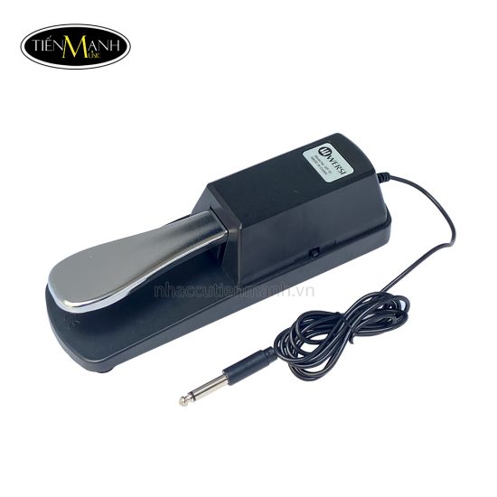 Pedal-Sustain-Wersi-DP10-Pedal-ngan-23.jpg