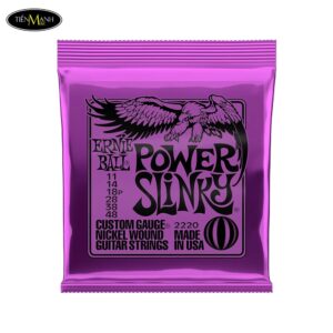 Dây Đàn Guitar Điện Ernie Ball E10-P02220